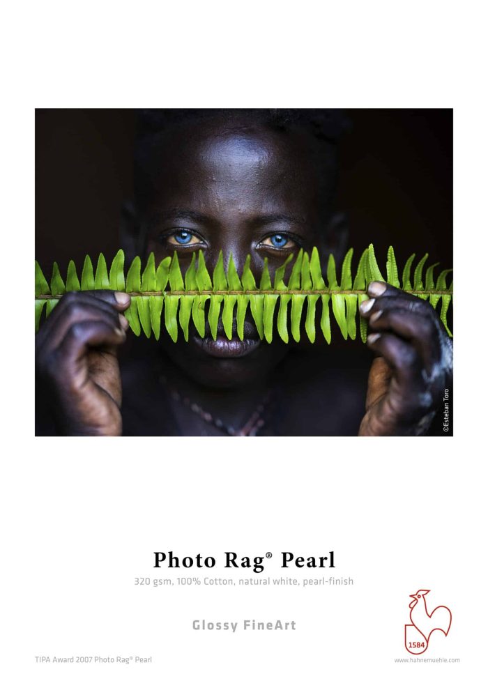 a person holding a leaf