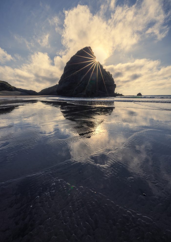 Sunstar At Piha Beach