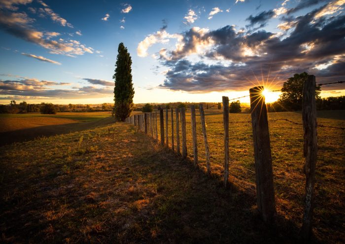 Rural Sunset 1